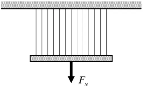Fig. 1. A bundle of N bers strethed between two rigid supports with a load F N