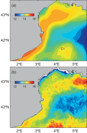 Fig. 7. (a) Time-averaged model surface temperature ( ◦ C). The anticyclonic eddy is indicated with C1