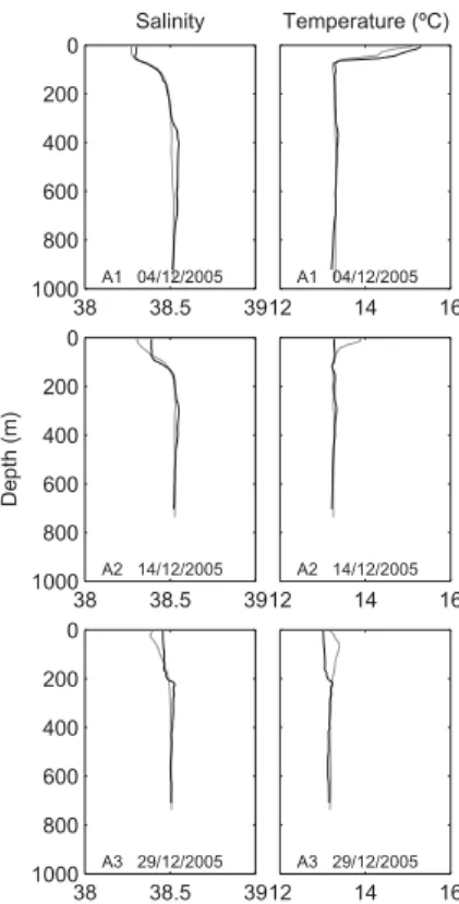 Fig. 8. Comparison between model temperature and salinity profiles (grey line) and those measured by Argo floats (black line)