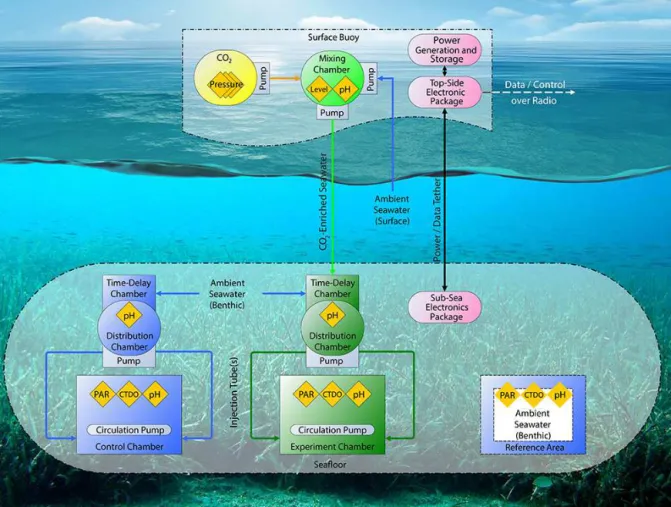 Figure 1. Conceptual diagram of a FOCE system. The number of control, experiment, and reference areas vary depending on the experimental design and budget