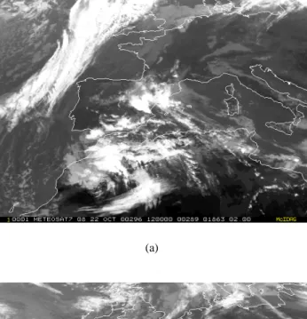 Fig. 6. Analysis of the accumulated precipitation (mm) from 07:00 UTC to 07:00 UTC the next day on: (a) 22 and (b) 23  Oc-tober 2000