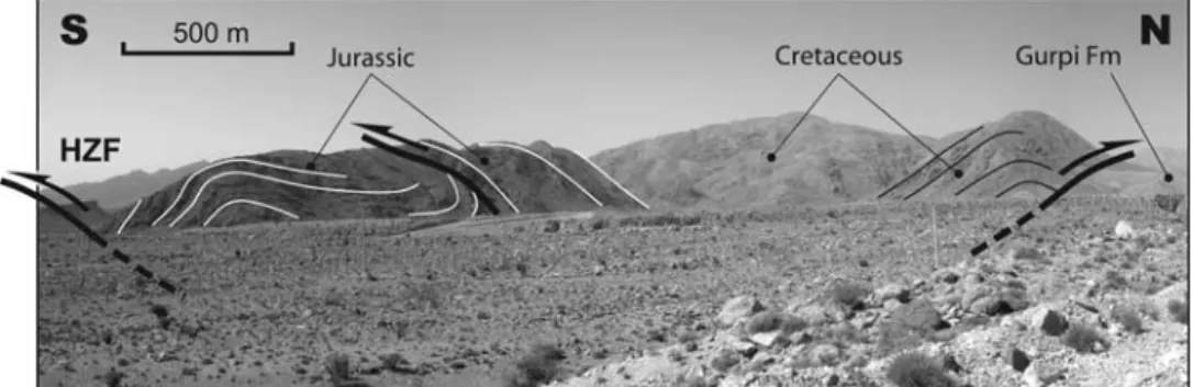 Figure 7. View of the HZF and associated ‘‘popup’’ structure composed of highly deformed Jurassic to Cretaceous rocks