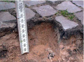 Fig. 1. Dark seam material (0 to 1 cm) compared to the lighter orig- orig-inal sandy seam filling (1 to 5 cm) at the sidewalk at Pfluegerstrasse, Berlin.