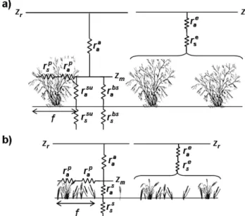 Fig. 2. Scheme showing the soil, plant and atmospheric resistances and the effective resistances (r e ) considered for each patch