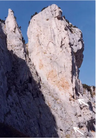Fig. 2. Example of a potential rock slide in Grenoble area (height: 130 m; volume: 350 000  m 3 ) ; potential sliding planes are shown by the arrows