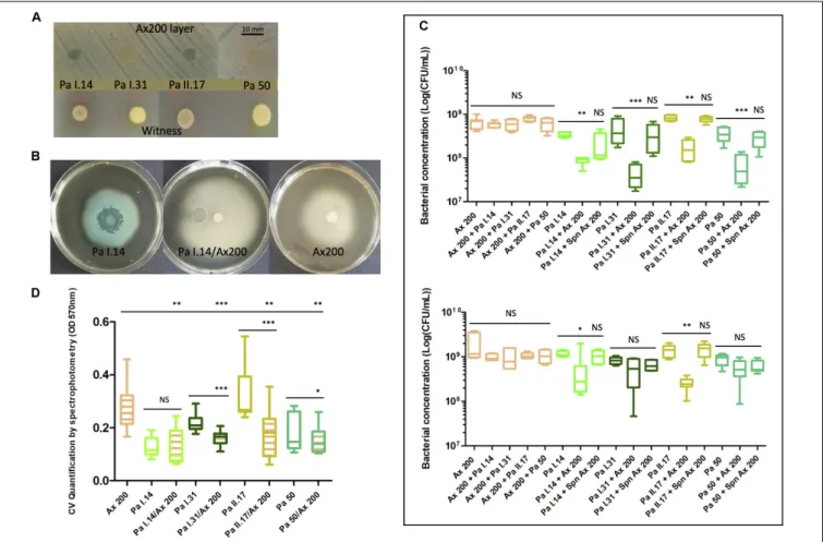 FIGURE 5 | Interactions between chronic Achromobacter xylosoxidans (Ax; ST 327) versus three sporadic Pseudomonas aeruginosa (Pa) of different genotypes (ST 27, ST 244 and ST 1092) and an environmental Pa (ST 27) in Patient A