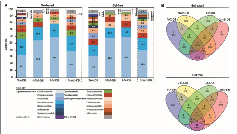 FIGURE 2 | (A) Relative taxonomic composition at order level for each methodology. Values represent the proportion of proteins with identical taxonomy on total identified protein using TAX-DB, NAM-DB, AM-DB, or Comb-DB in both gel-free and gel-based approa