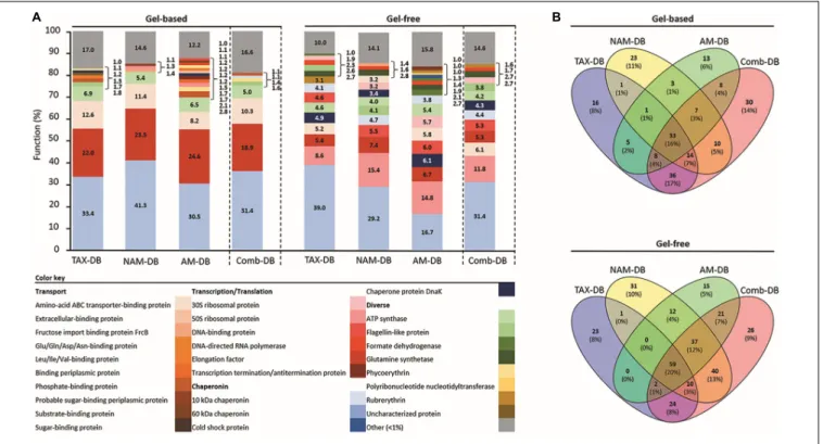 FIGURE 3 | (A) Relative functional composition for each methodology. Values represent the proportion of proteins with identical functional name on total identified protein using TAX-DB, NAM-DB, AM-DB, or Comb-DB in both gel-free and gel-based approaches