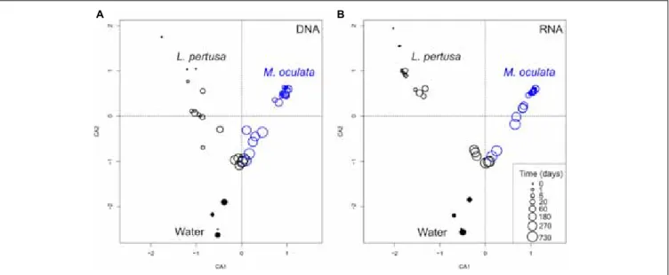 FIGURE 1 | Correspondence analysis of bacterial communities based on 16S rDNA (DNA) (A) and 16S rRNA (RNA) (B)