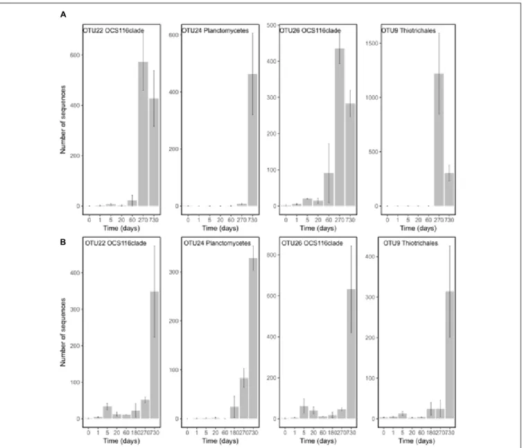 FIGURE 3 | Number of sequences in the RNA fraction of OTUs characterizing time 270 and 730 and that were present in both species