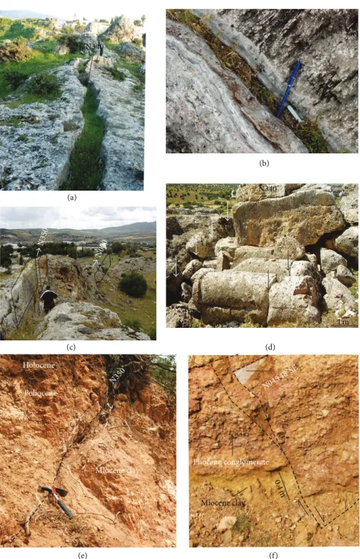 Figure 4: Examples of observed recent tectonic evidences: (a, b) fissured ridge at HD