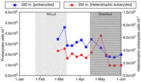 Fig.   2.   Temporal   changes   in   concentrations   of   heterotrophic   prokaryotes   and   eukaryotes   at   250    m   during   the   study   period