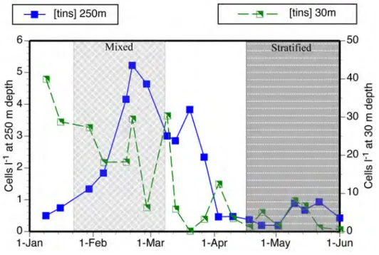 Fig.   4.   Temporal   changes   in   the   concentrations   of   tintinnids   at   250   m   and   30   m   during   the   study    period