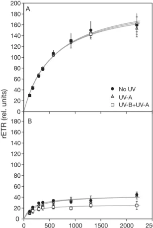 Fig. 3. Rapid light-response curves (RLCs) for (A) migratory and (B) non-migratory engineered biofilms (Baie des Veys, 14 September 2003) exposed for 1 h to ambient light (UV-B + UV-A), ambient light without UV-B (UV-A), and ambient light without UV radiat