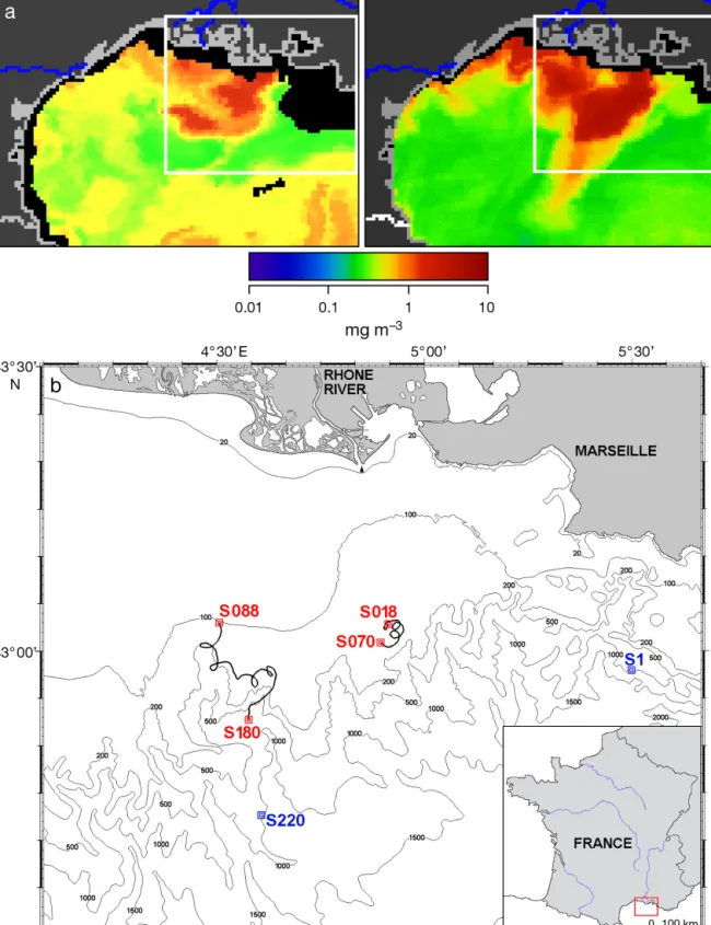 Fig. 1. (a) Chlorophyll a surface concentration based on MODIS satellite images (supplied by Joint Research Center, Ispra) of the Gulf of Lions on May 11 (upper left) and May 24 (upper right)