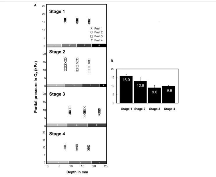 FIGURE 4 | Oxygen tension (expressed in kPa) measured in the mesocarp of 16 melon (Cucumis melo L