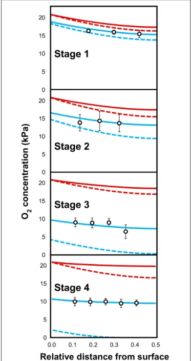 Figure 5 represents the calculated and measured O 2 tensions as a function of the position within the mesocarp and of the developmental stage