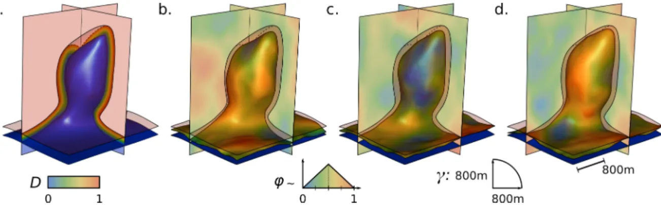 Figure 2 Simulating variable salt top boundary geometries. (a) Input data: the “salt” region (in blue), the “sediments” region (in red) and the “uncertain” region (painted with the pseudo-distance field D)
