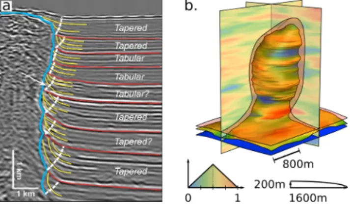 Figure 4 Reproducing halokinetic sequences contact. (a) Example of the typical cusp-shaped patterns observed at the contact between halokinetic sequences (in red) and a salt diapir (in blue)