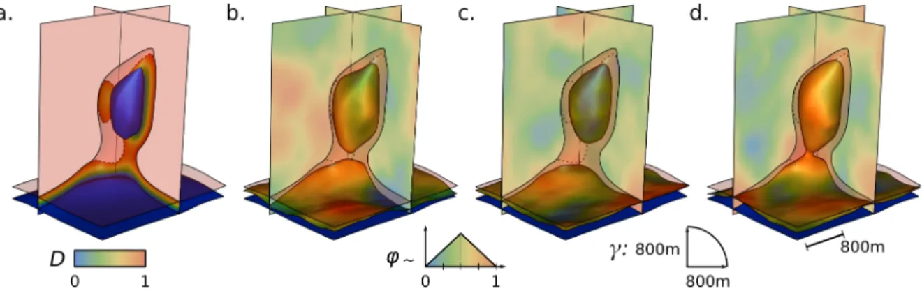 Figure 6 Simulating variable salt top boundary topologies. (a) Input data: the “salt” region (in blue), the “sediments” region (in red) and the “uncertain” region (painted with its pseudo-distance field D)