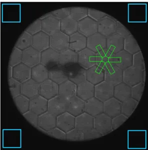 Fig. 5. Typical image of the phase contrast signal in the pupil plane. The origin of the picture is in the lower left corner