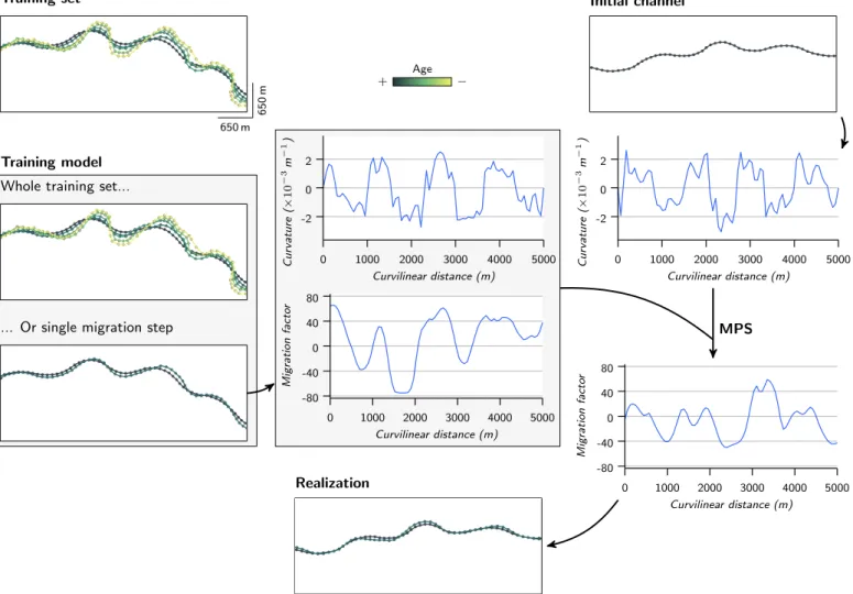 Figure 4 Framework for the simulation of the migration factor " m with MPS.