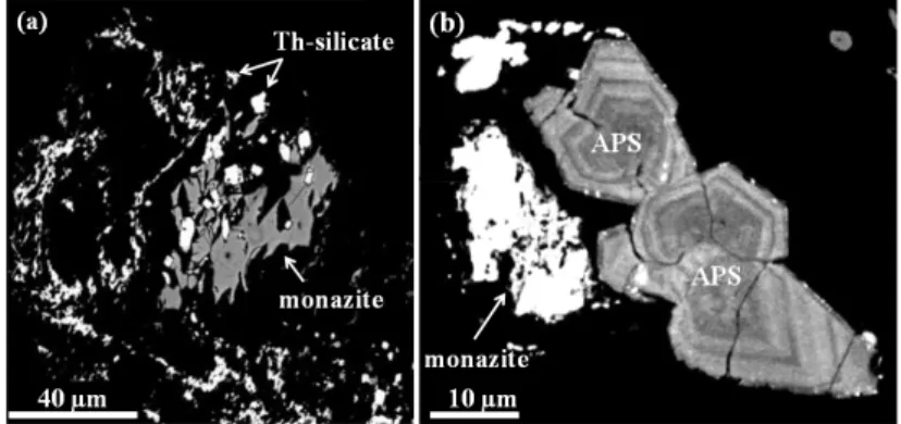 Figure 1. Examples of intensive alteration of monazite by diagenetic/hydrothermal brines from the  basement of the Proterozoic Athabasca Basin (Canada): (a) Back-scattered electron image of a   monazite grain (grey), which is nearly completely altered to T