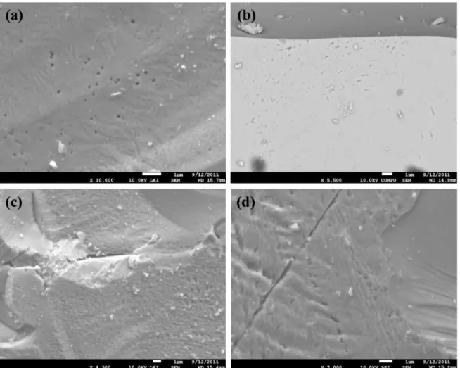 Figure 3.  SEM  images  of  the  different  alteration  features on monazite grains after one month  experiments: (a) etch pits in EXP# 7; (b) etch pits in EXP# 5; and (c,d) roughened surfaces in EXP# 4