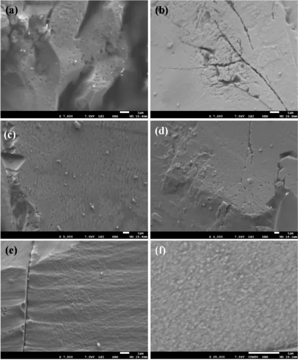 Figure 4. SEM images of the different alteration features on monazite grains after the six months  experiments: (a) etch pits in EXP# 20; (b) etch pits and roughened surface in EXP# 13; (c) etch pits  and roughened surface in EXP# 22; (d) etch pits and rou
