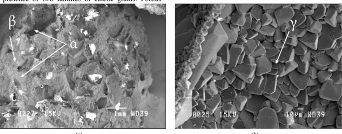 Fig. 4 - Images acquired by Scanning Electron Microscopy of two fragments of unaltered calcarenite