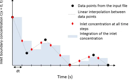 Figure 10 Boundary conditions: the input concentration is computed by a linear interpolation between the successive values provided by the user.
