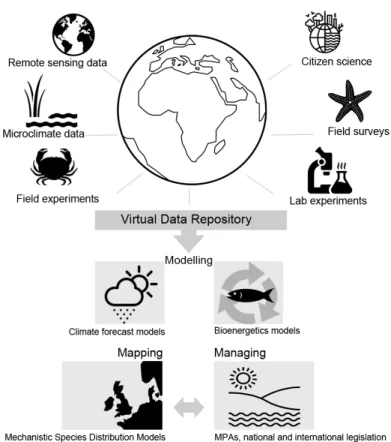 Fig. 1. Proposed international network integrating research on the impacts of climate change from the organismal level to the biogeographic level, to assist effective adaptive management of 
