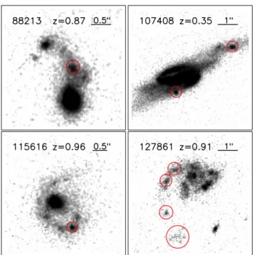 Figure 1 shows the distribution of the measured nuclear sep- sep-aration distance for our 461 sample LTTGs