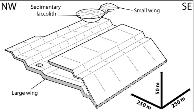 Fig. 11. 3D representation of the injectites network inferred from precise geological mapping  in Le Puy hill area