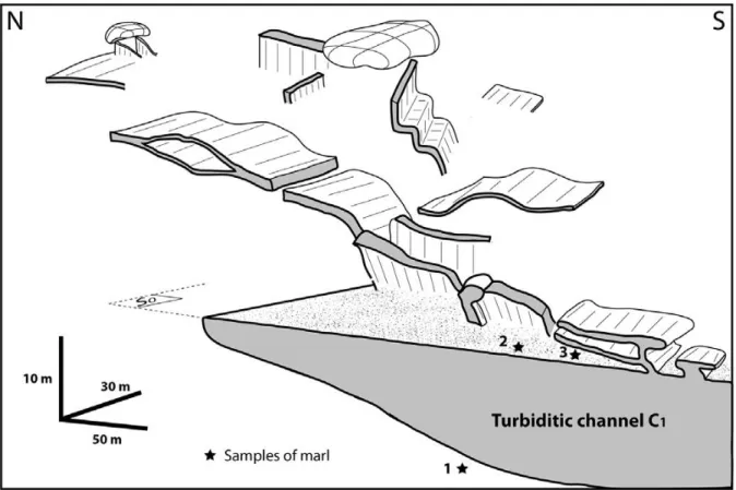Fig. 13. (a) Structural map of the Vieux-Bevons outcrop with a Rose diagram of dyke strikes