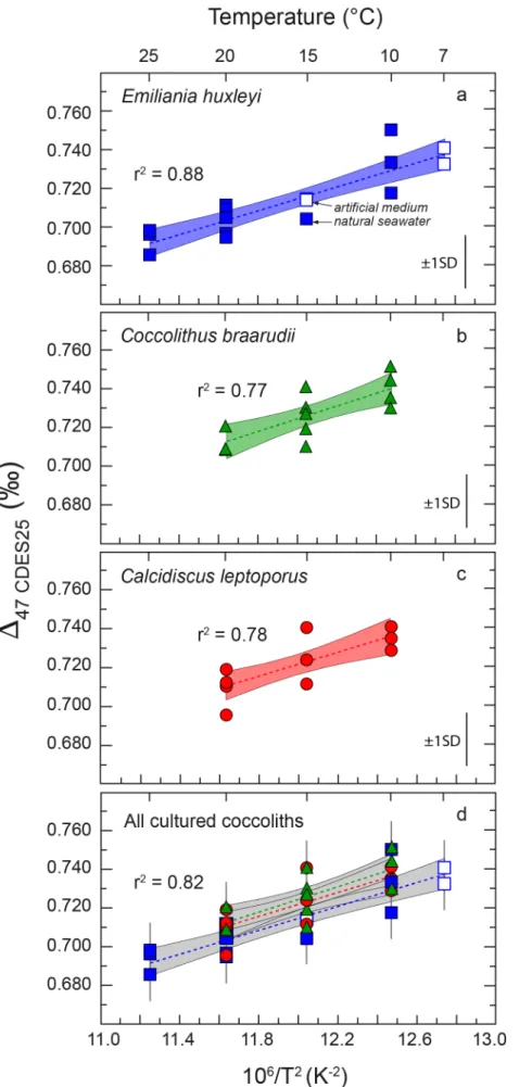 Figure 2. Relationship between the carbonate clumped isotope composition of coccolith calcite and  calcification temperature