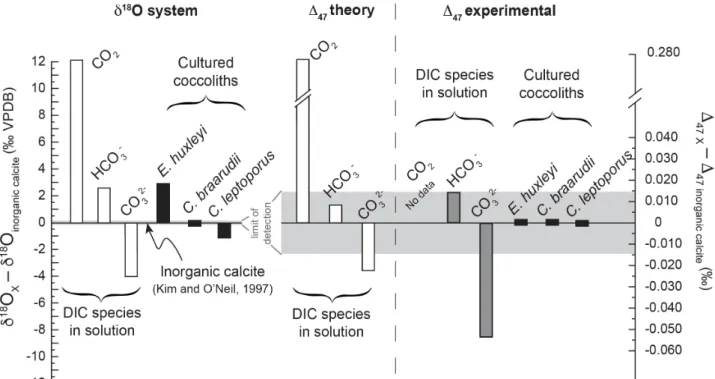 Figure  6.  Biogeochemical  insights  from  the  comparison  between  coccolith,  equilibrium  and  DIC  isotopic compositions (D 47  and δ 18 O)