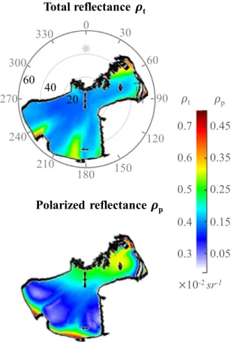 Fig. 13. The  estimated total  and  polarized  water-leaving  reﬂectances at  θ s = 110  °