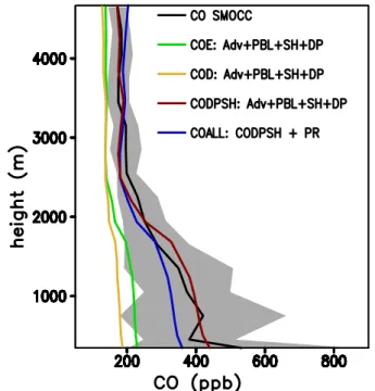Fig. 6. Comparison between the mean CO concentrations (ppb) observed during sixteen flights of the SMOCC/RaCCI field campaign (black solid line represents the mean while the grey zone shows the standard deviation range) and the mean of model results: follo