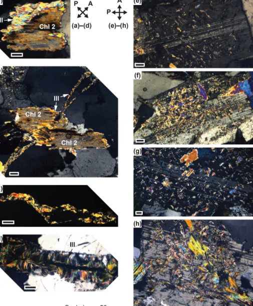 Figure 6. Polarized light photomicrographs showing microstructural position of illite