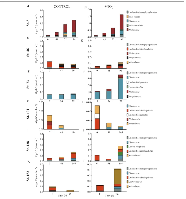 FIGURE 4 | Concentration of phytoplankton biomass (mmol C m −3 ) found in the top 5–6 contributing taxonomic classes in the control (A,C,E,G,I,K) and nutrient