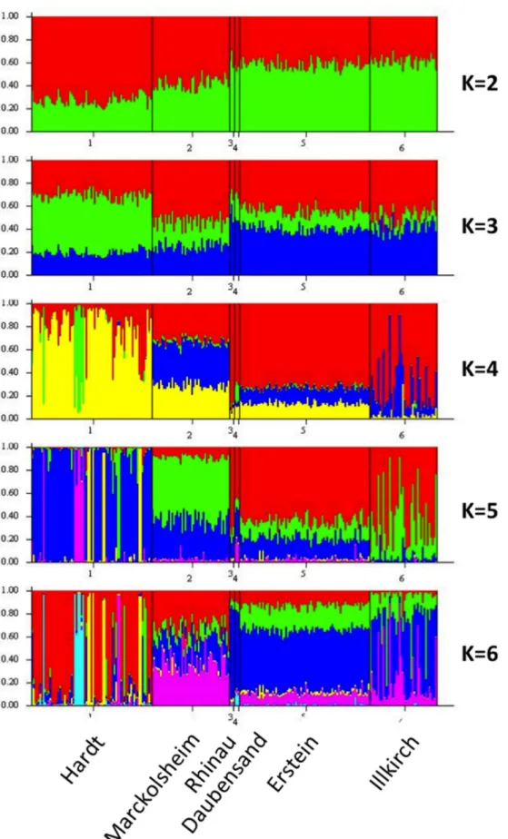 Figure 4. Population structure of Malus sylvestris ( N = 246, 6 populations across the Rhine Valley), inferred with the Bayesian clustering algorithm implemented in STRUCTURE