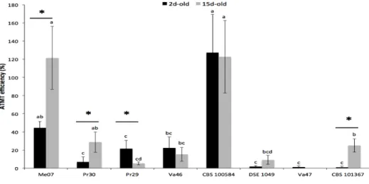 Fig. 3. Transformation efficiency of eight DSEs. 