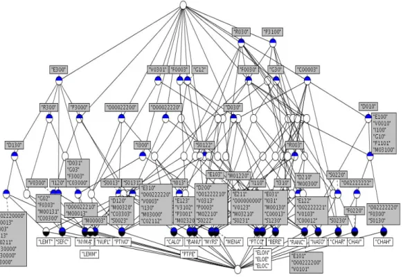 Figure 4. The Galois lattice built from the pattern table (all traits).