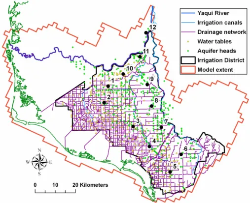 Fig. 5. Locations of wells with observed water table elevations and aquifer heads used for model calibration