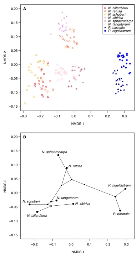 Figure 6 Morphological characteristics of Nitraria and Peganum. (A) Non-metric multidimensional scaling (NMDS) ordination of Nitraria and Peganum species morphologies