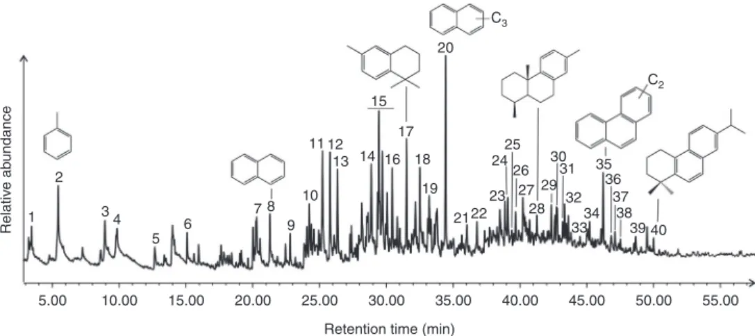 Fig. 4 Total ion chromatogram of Tilin amber from Py-GC-MS analysis. Identi ﬁ cation of numbered peaks is listed in Supplementary Table 2
