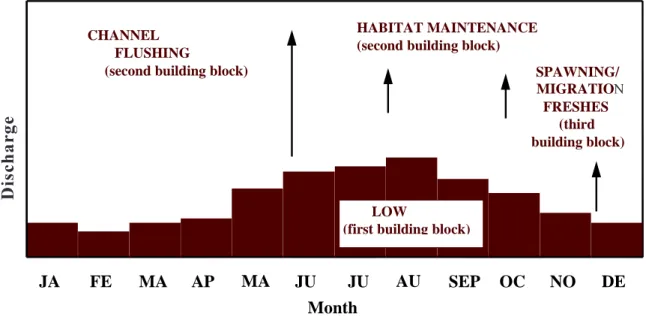 Fig. 2. Example of flow regime built up using building blocks.