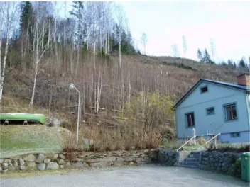 Fig. 17. New building and upgrade: Soil bio-engineering measures to stabilise unsteady slopes (courtesy of: Rankka, 2005).