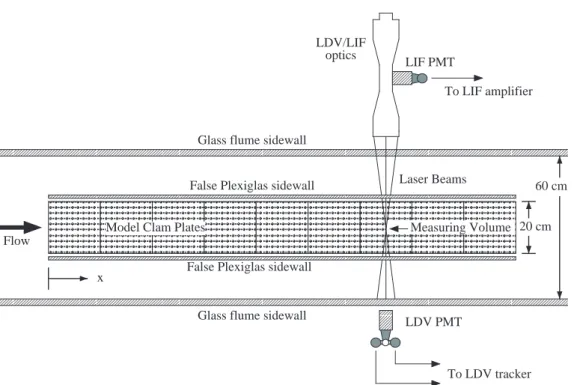 Fig. 1. Top view of the flume test section showing the model clam plates, false sidewalls, and the LDV/LIF optical measurement system.